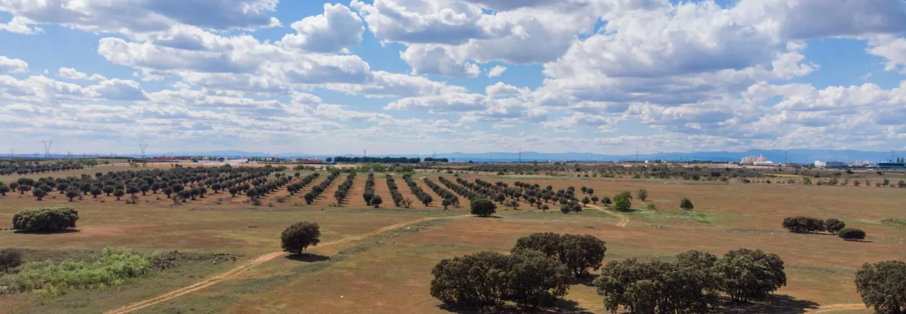 Aluguer de automóveis em Arganda del Rey Aluguer de automóveis em Arganda del Rey