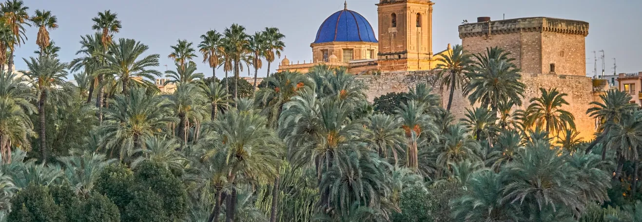 Alquiler de coches en Elche